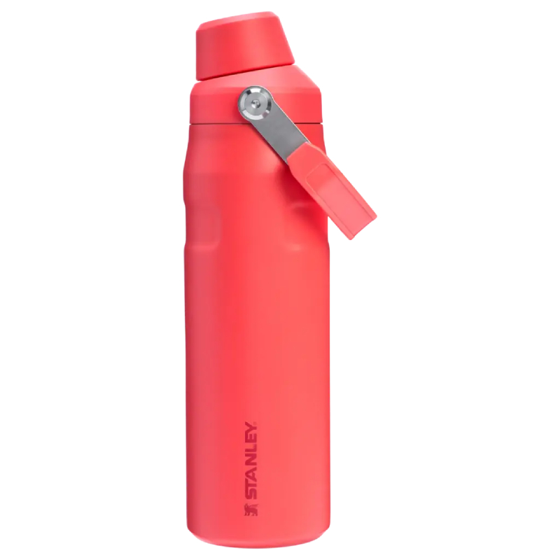 The Aerolight IceFlow™ Bottle Fast Flow 0.7L / 24oz The IceFlow™ Bottle Fast Flow 0.7L / 24oz - Hot Coral