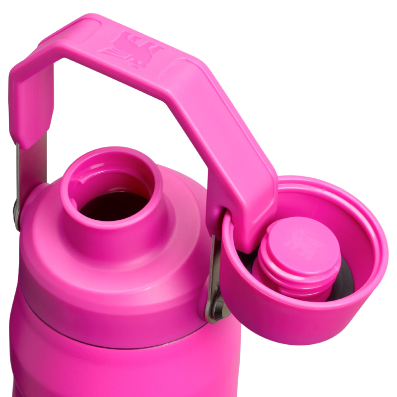 The Aerolight IceFlow™ Bottle Fast Flow 0.7L / 24oz The IceFlow™ Bottle Fast Flow 0.71L / 24oz - Violet Blossom