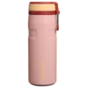 Peach Rose