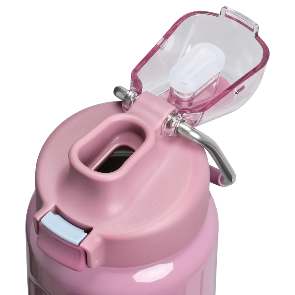 Classic Wellspring Bottle | 0.71L The Wellspring Bottle 0.7L / 24oz - Purple Smoke Gloss